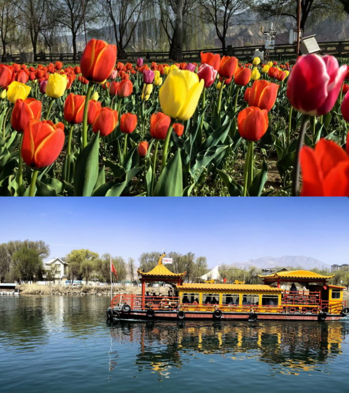 202404081712538622996874.png 4_副本_副本.png