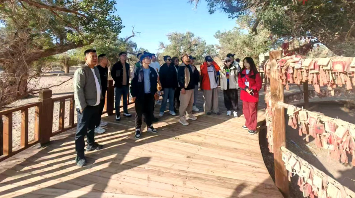 202409191726705885493918.png 图片5_副本.png