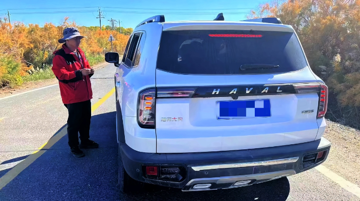 202410171729125351134883.png 图片19_副本_副本.png