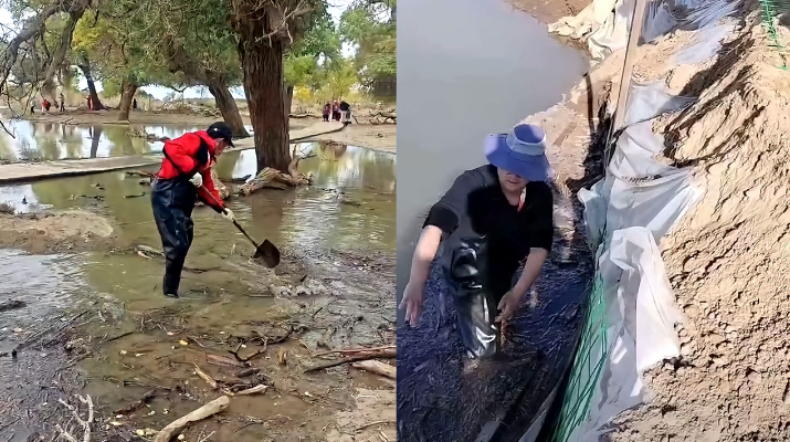 202410171729125438522922.png 图片24_副本.png