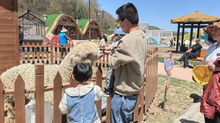 202505051746459379435266.png 微信图片_20250505233005.png