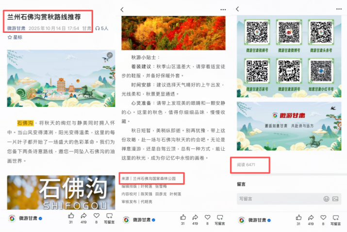 202512191766104428238912.png 图片6.png