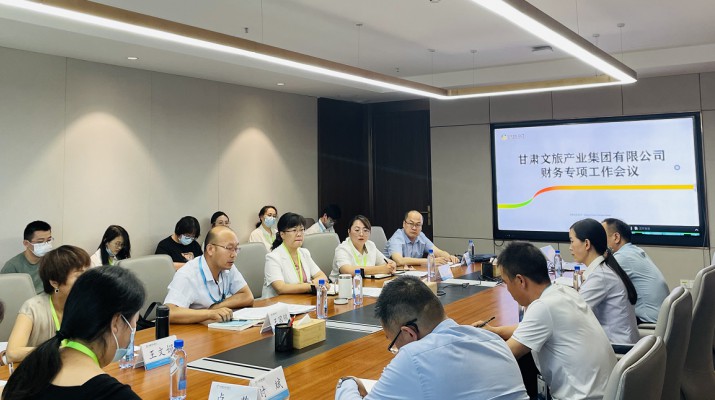 PA视讯召开财务专项工作会议