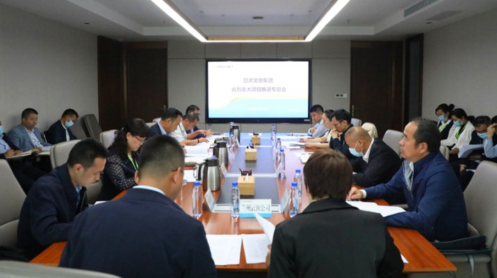 PA视讯召开省列重大项目推进专题会