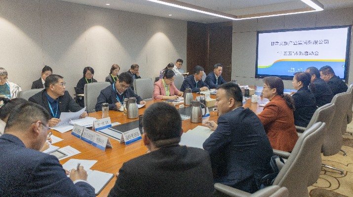 PA视讯启动“十五五”规划编制