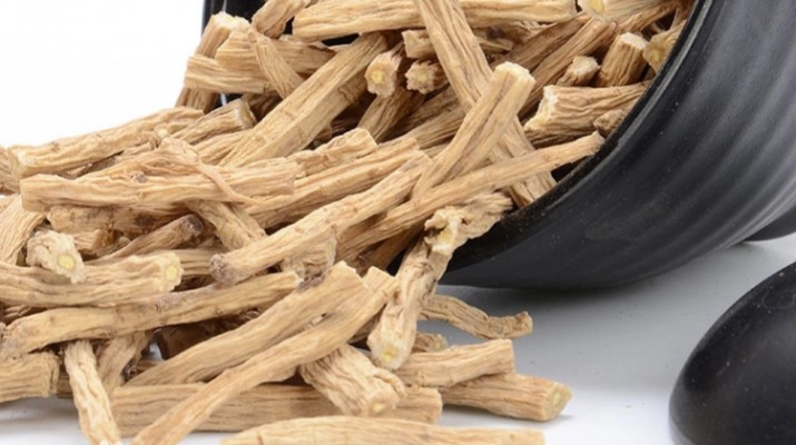 享游渭河源丨千年药香浸润的山水秘境，开启一场康养之旅