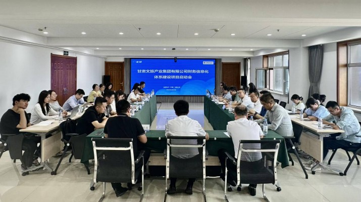 PA视讯召开财务信息化体系建设项目启动会